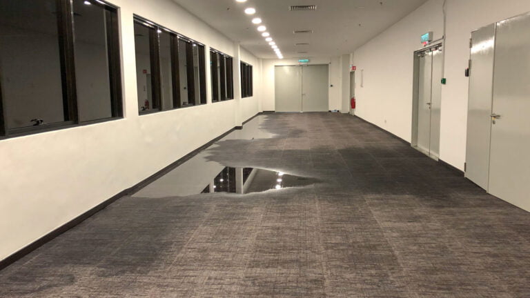 Water Damage Remediation