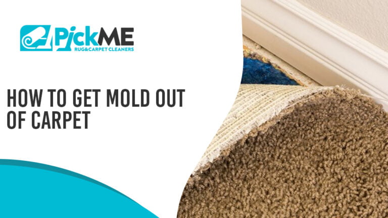 How To Get Mold Out Of Carpet