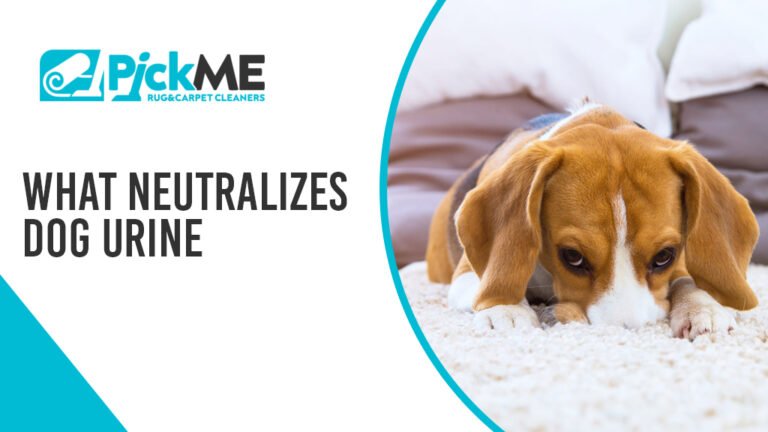 What Neutralizes Dog Urine